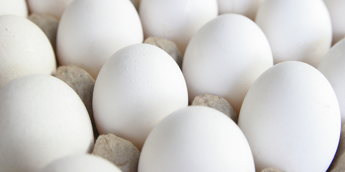 Image of Eggs | Great source of protein